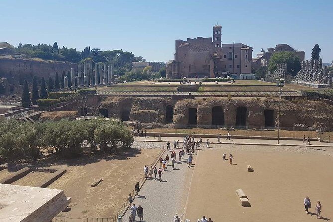 Rome Full Day Tour: Colosseum and Vatican Museums - Entering the Colosseum: What an Hour Can Actually Cover