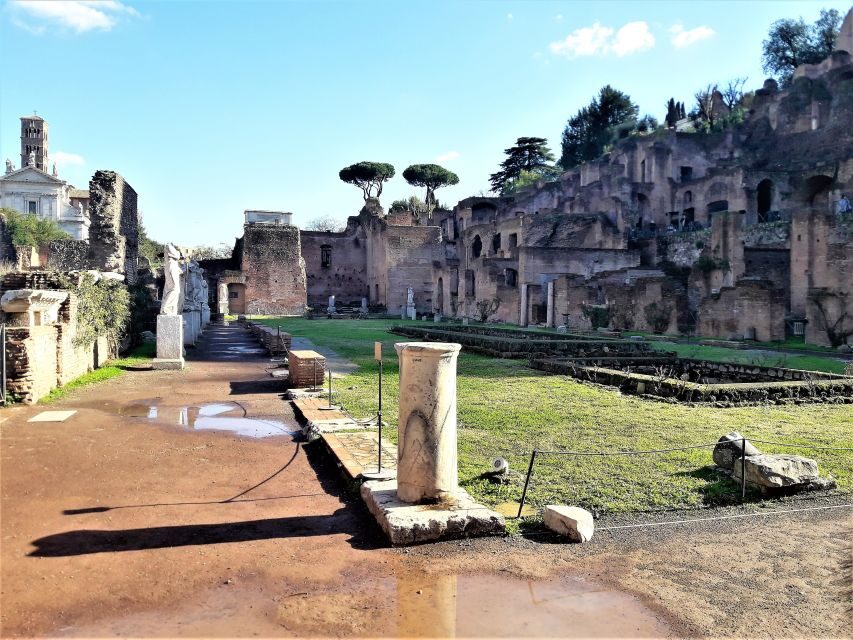 Rome: Vatican & Colosseum Experience with Lunch & Transfers - Key reasons this tour works so well