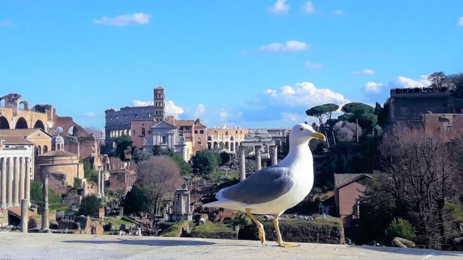 Rome: Vatican & Colosseum Experience with Lunch & Transfers - Queue Time and the Value of a Private Guide