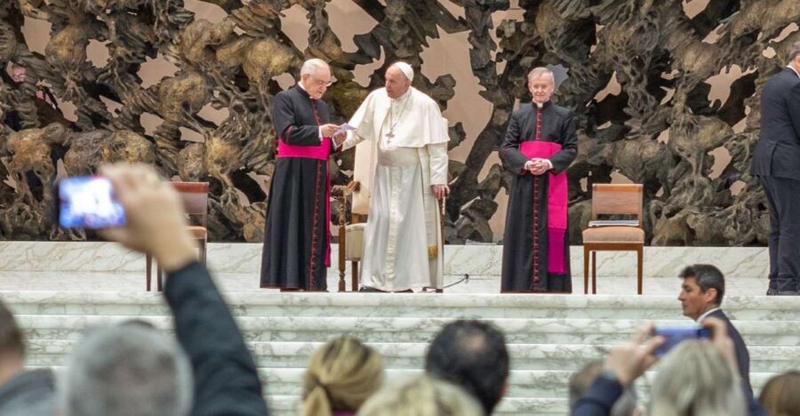 Vatican City: Papal Audience, Sistine Chapel, & Vatican Tour - Key things to know before you go